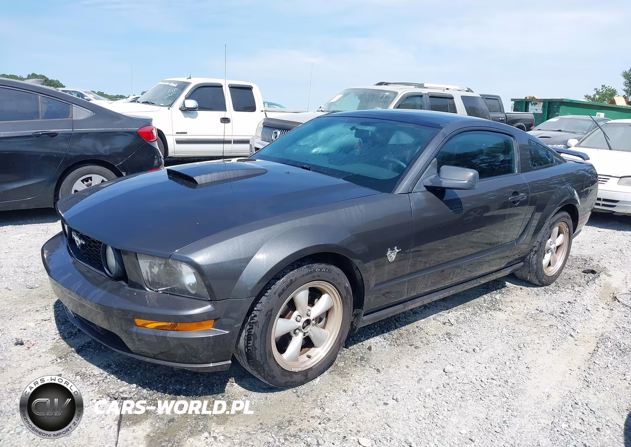 2009 Ford Mustang Gt-Gt Premium VIN:1ZVHT82H095126321 - 2