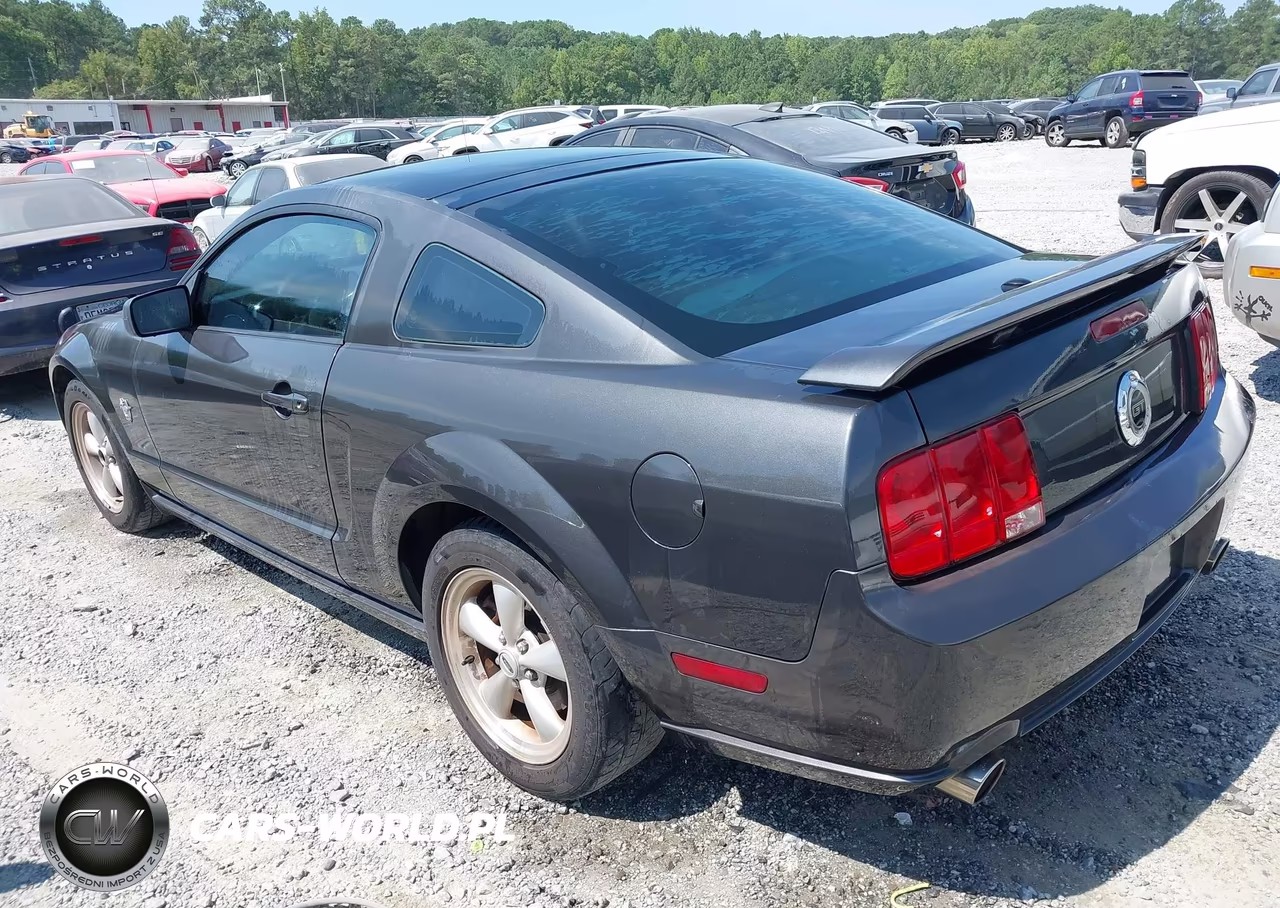 2009 Ford Mustang Gt-Gt Premium VIN:1ZVHT82H095126321 - 3