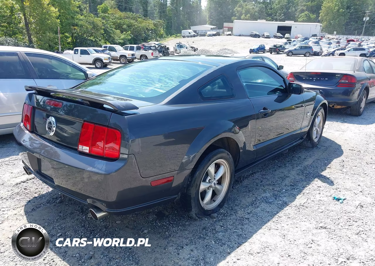 2009 Ford Mustang Gt-Gt Premium VIN:1ZVHT82H095126321 - 4