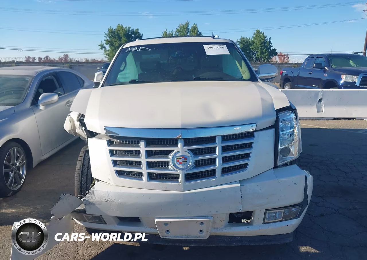 2013 Cadillac Escalade Luxury VIN:1GYS4BEF9DR310939 - 13