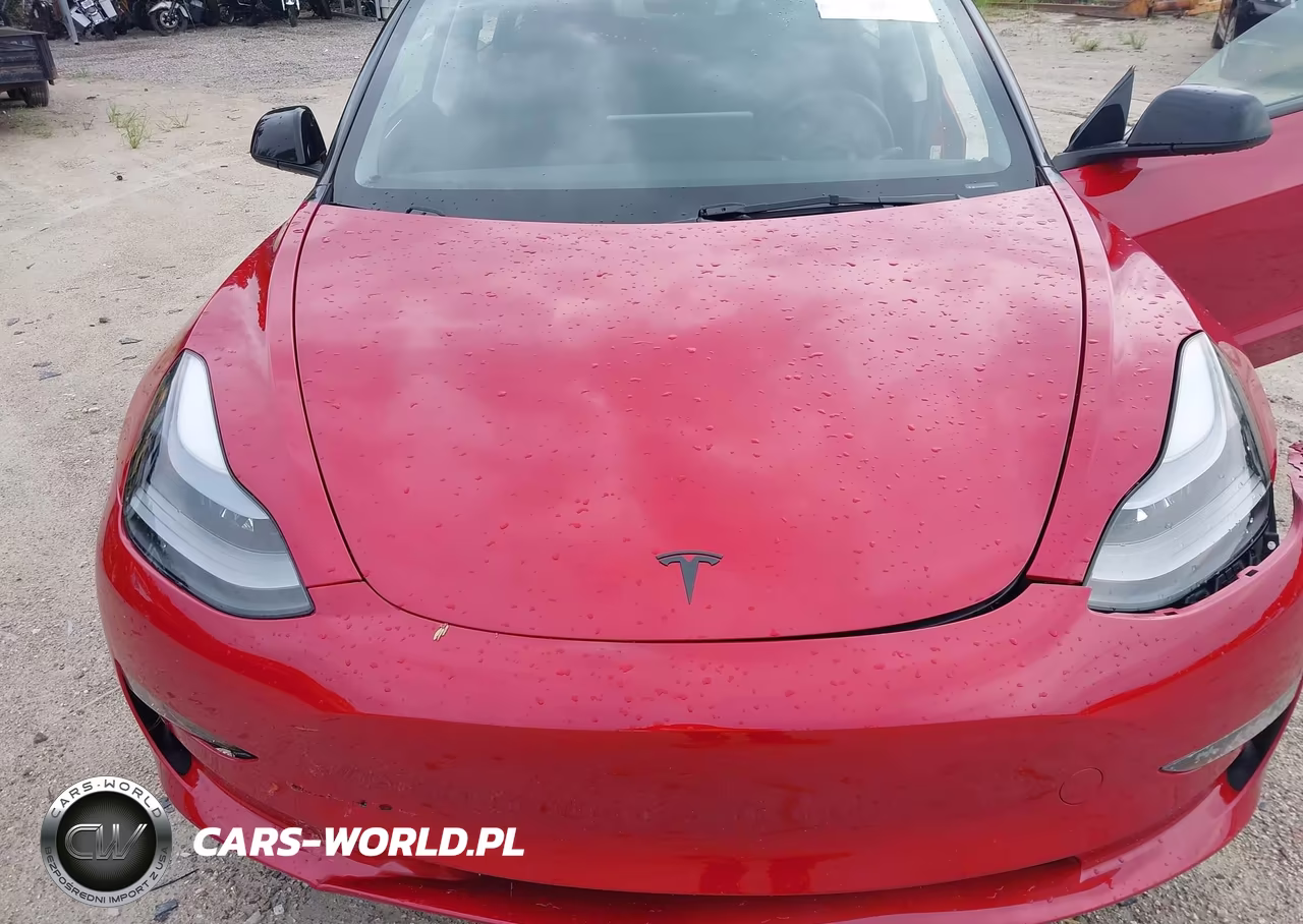 2023 Tesla Model 3 Long Range Dual Motor All-Wheel Drive VIN:5YJ3E1EB3PF632971 - 10