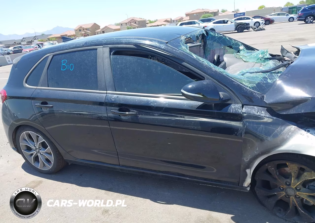 2019 Hyundai Elantra Gt N Line VIN:KMHH55LC7KU108730 - 12