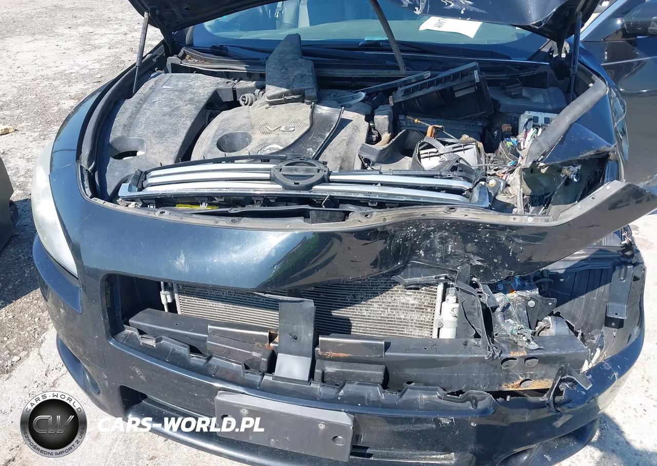 2013 Nissan Maxima 3.5 Sv VIN:1N4AA5AP1DC806109 - 10