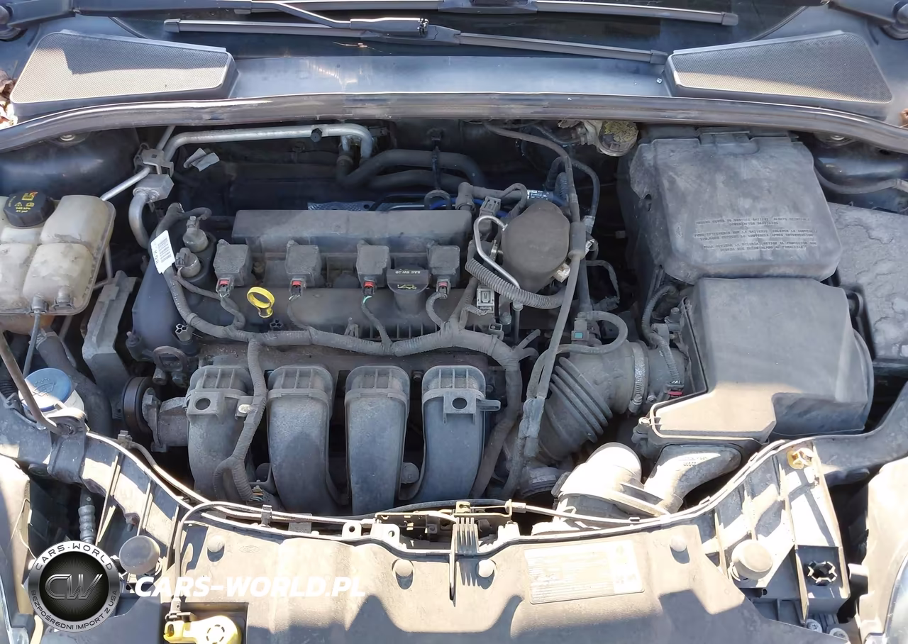 2014 Ford Focus Se VIN:1FADP3F28EL245468 - 10