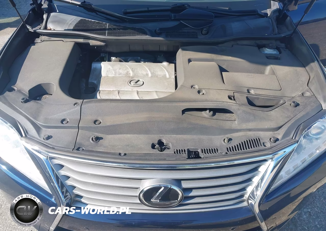 2014 Lexus Rx 350 VIN:JTJBK1BA6E2037528 - 10