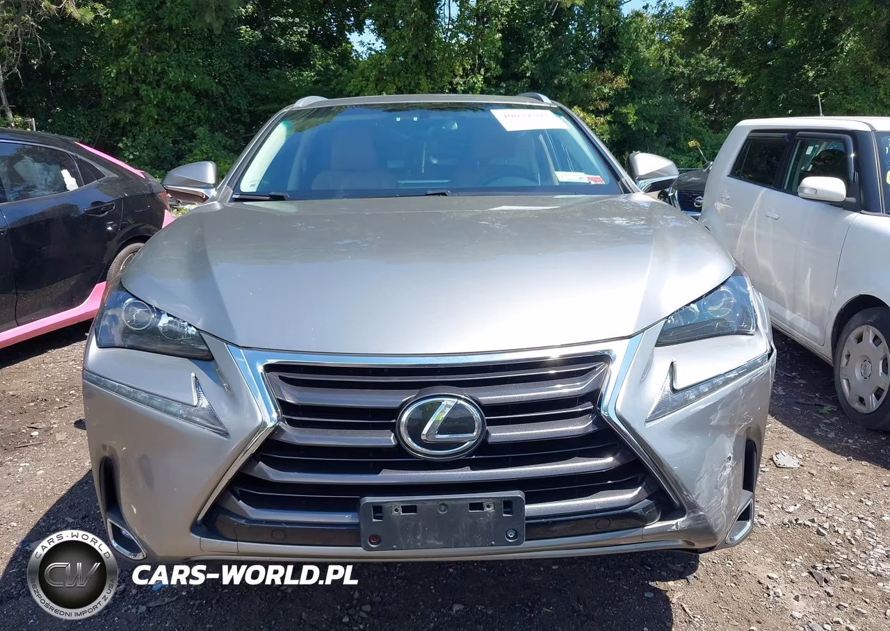 2017 Lexus Nx 200T VIN:JTJBARBZ4H2147389 - 12
