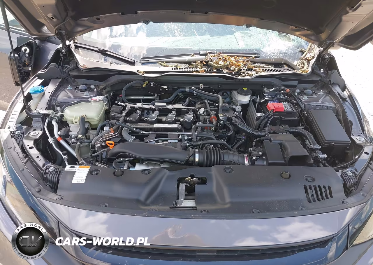 HONDA CIVIC VIN:19XFC1F38LE206008 - 10