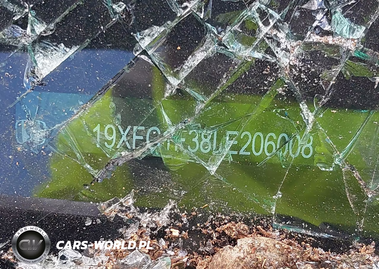 HONDA CIVIC VIN:19XFC1F38LE206008 - 9