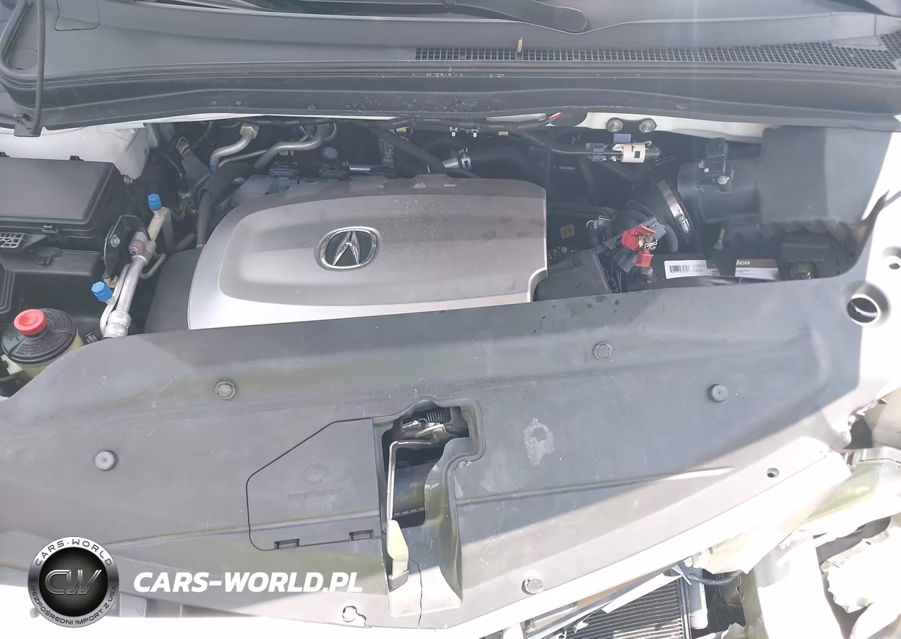 2010 Acura Mdx Advance Package VIN:2HNYD2H77AH500670 - 10