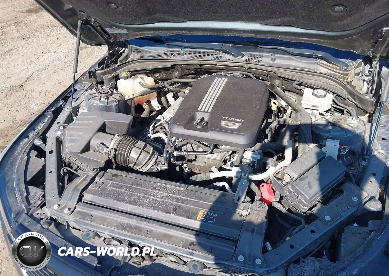 2021 Cadillac Ct4 Luxury VIN:1G6DJ5RK2M0116244 - 10