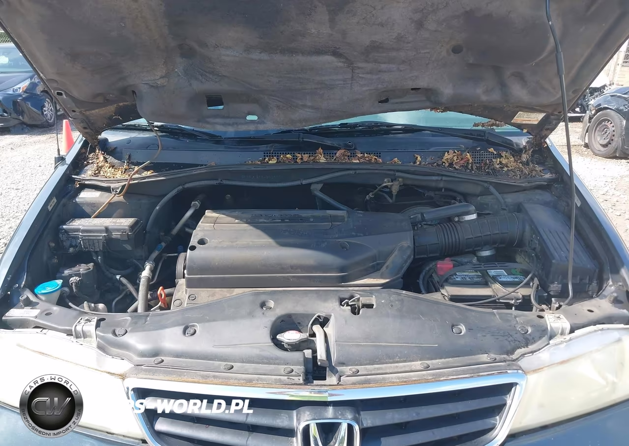 2004 Honda Odyssey Ex-L VIN:5FNRL18994B009701 - 10