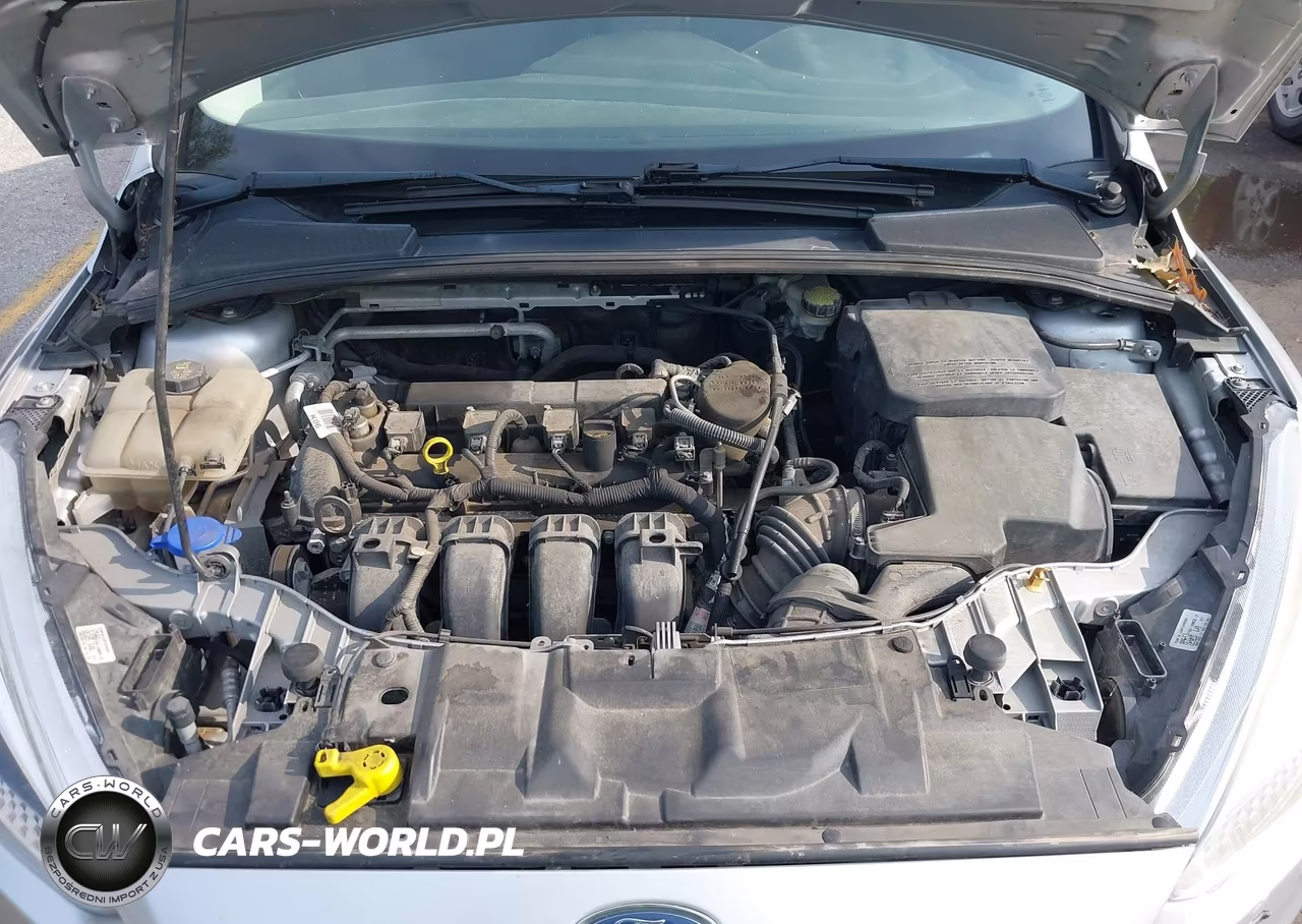 2016 Ford Focus Se VIN:1FADP3F26GL217011 - 10