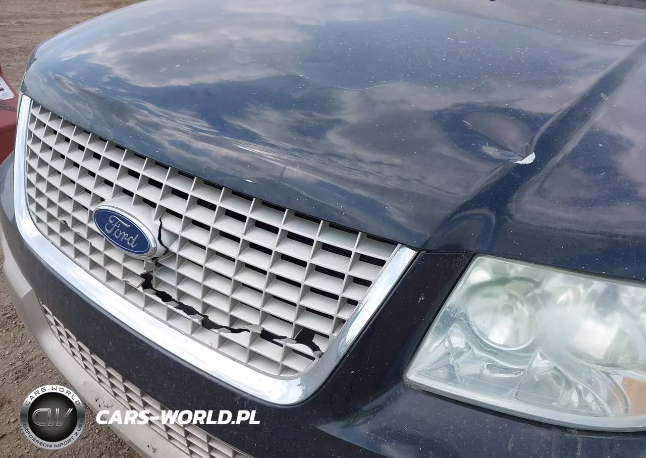 2004 Ford Expedition Eddie Bauer VIN:1FMFU18LX4LB35036 - 12