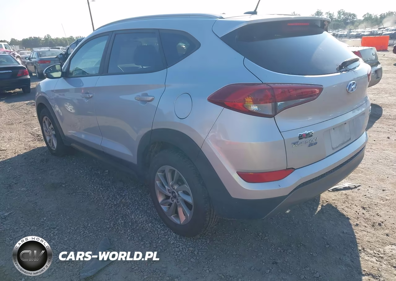 2016 Hyundai Tucson Eco VIN:KM8J3CA20GU225756 - 3