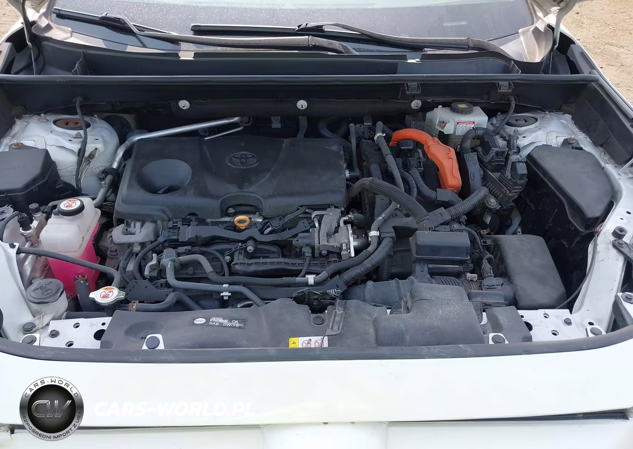 2019 Toyota Rav4 Hybrid Limited VIN:2T3DWRFV2KW010261 - 10