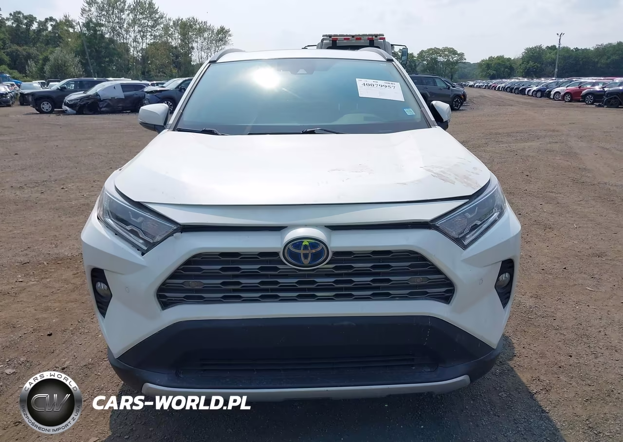 2019 Toyota Rav4 Hybrid Limited VIN:2T3DWRFV2KW010261 - 6