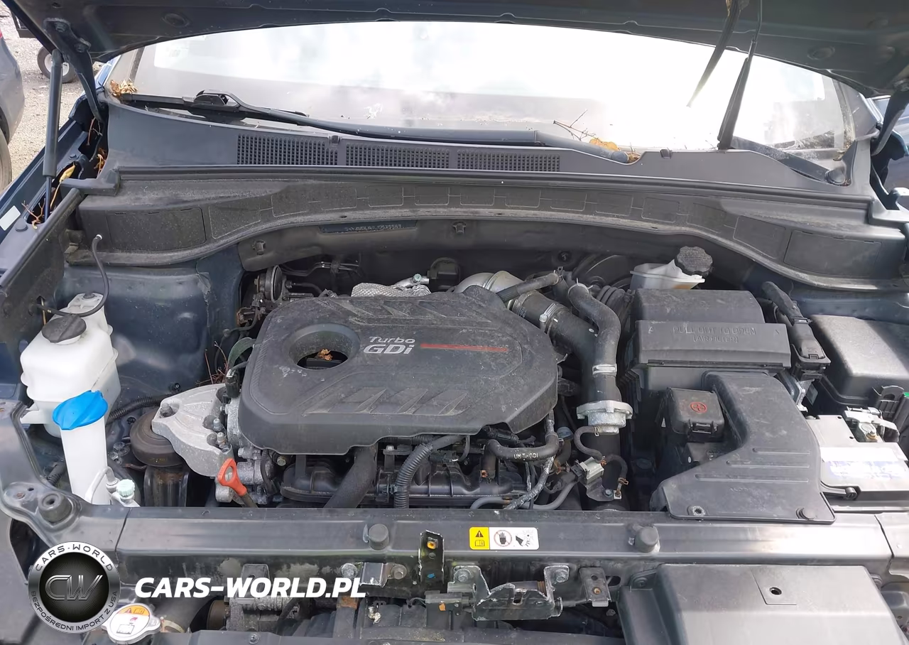 2018 Hyundai Santa Fe Sport 2.0T Ultimate VIN:5XYZWDLA9JG535583 - 10