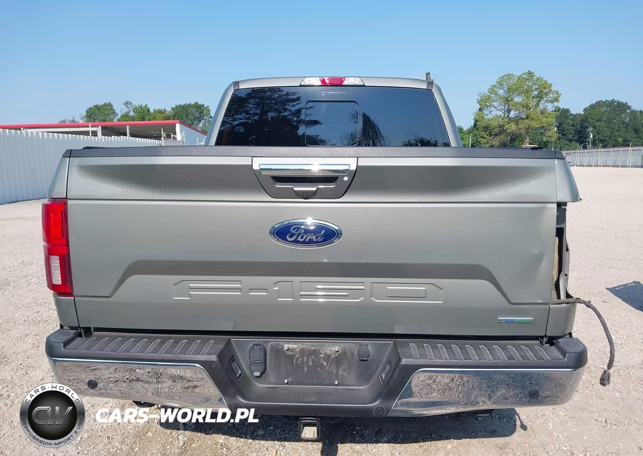 2019 Ford F-150 Lariat VIN:1FTEW1CP5KKE29726 - 17