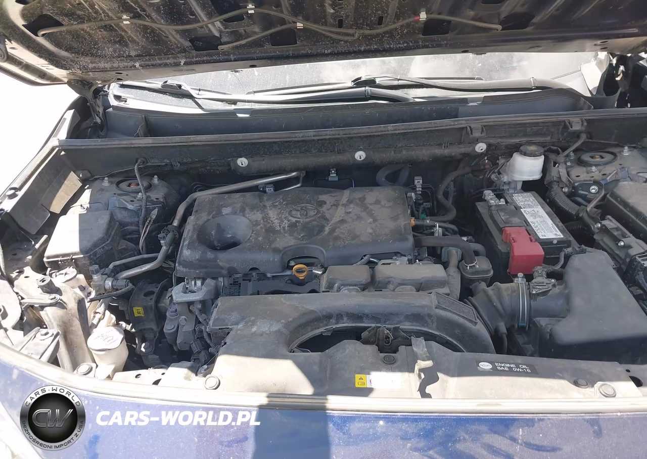 2019 Toyota Rav4 Xle VIN:2T3W1RFV2KC029501 - 10