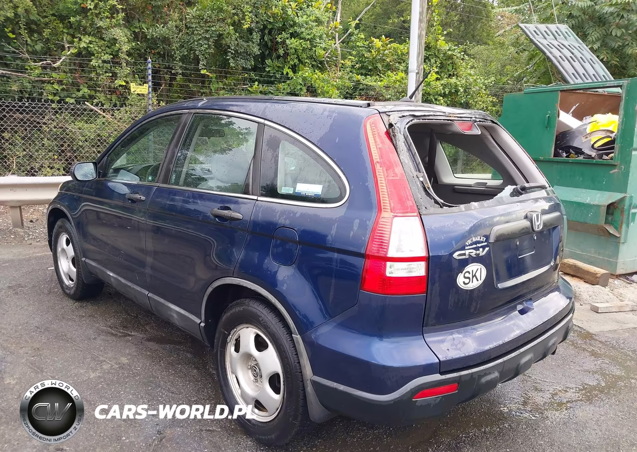 2009 Honda Cr-V Lx VIN:5J6RE383X9L009125 - 3