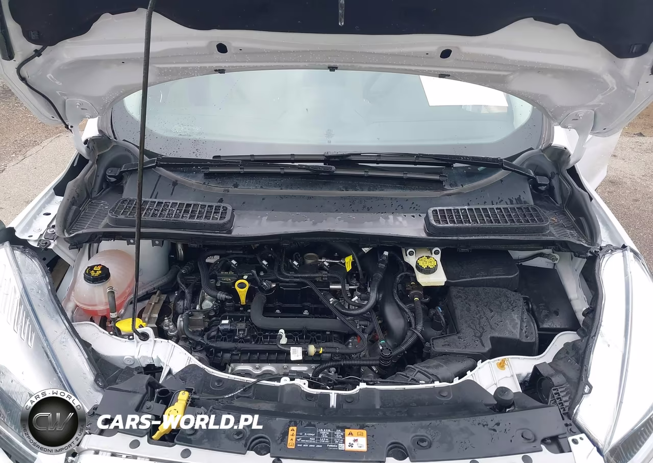 2019 Ford Escape Se VIN:1FMCU9GD7KUB64304 - 10