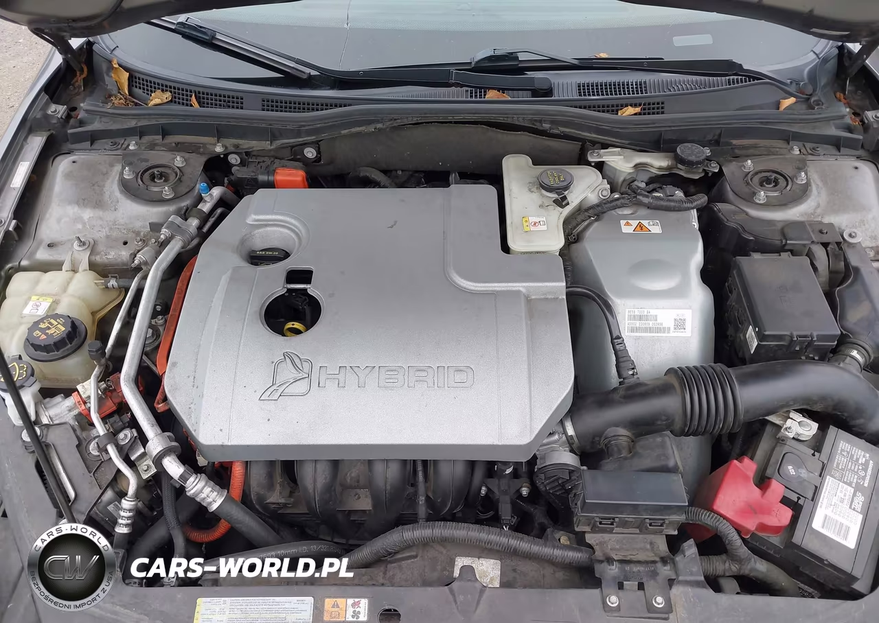 2010 Ford Fusion Hybrid Hybrid VIN:3FADP0L37AR181317 - 10