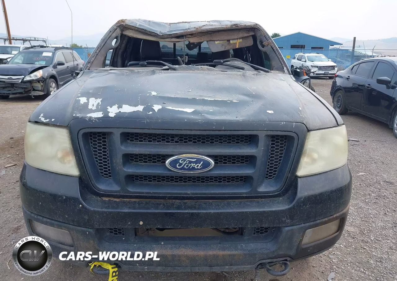 2004 Ford F-150 Fx4-Lariat-Xlt VIN:1FTPW14504KD33057 - 13