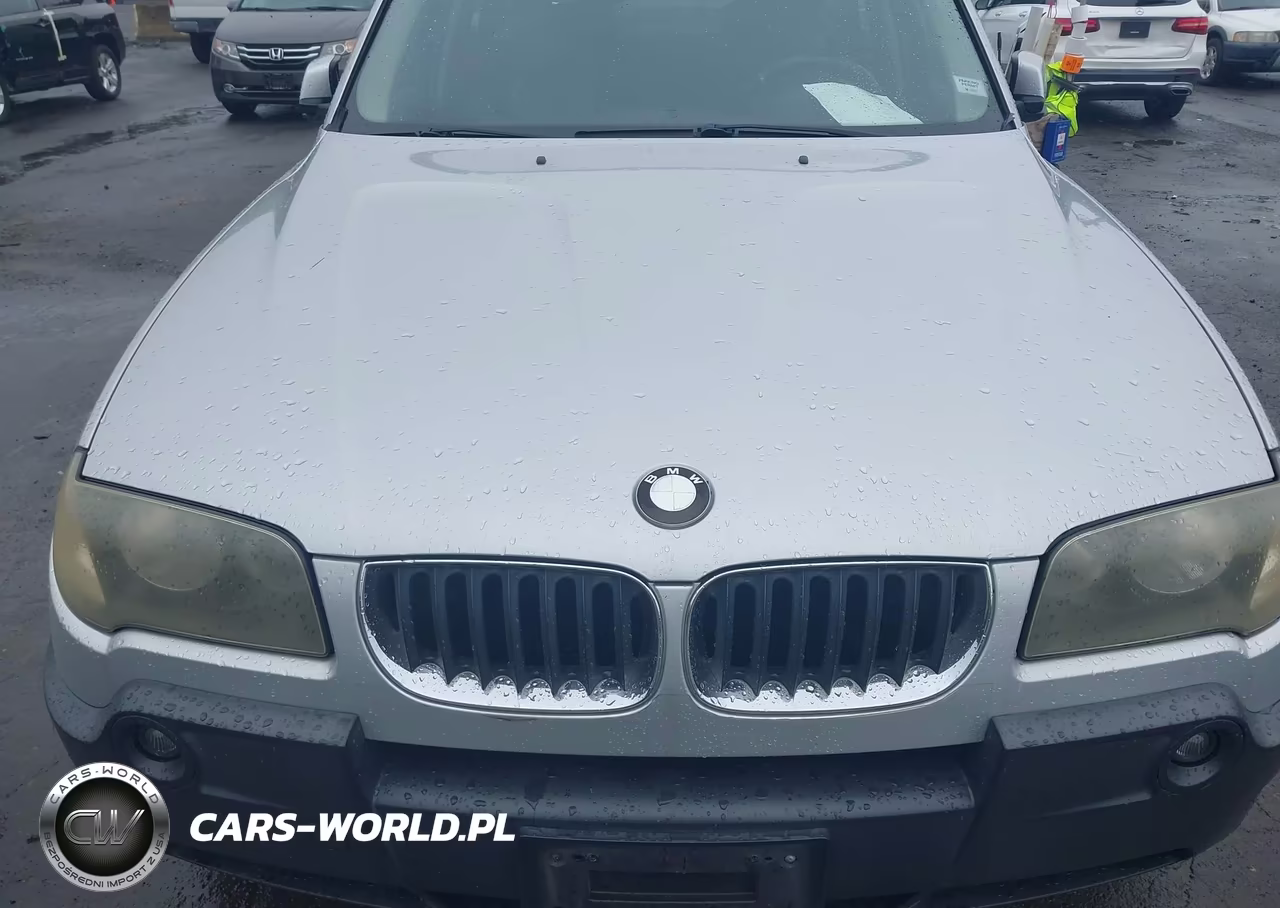 2005 BMW X3 2.5I VIN:WBXPA73445WC51679 - 6