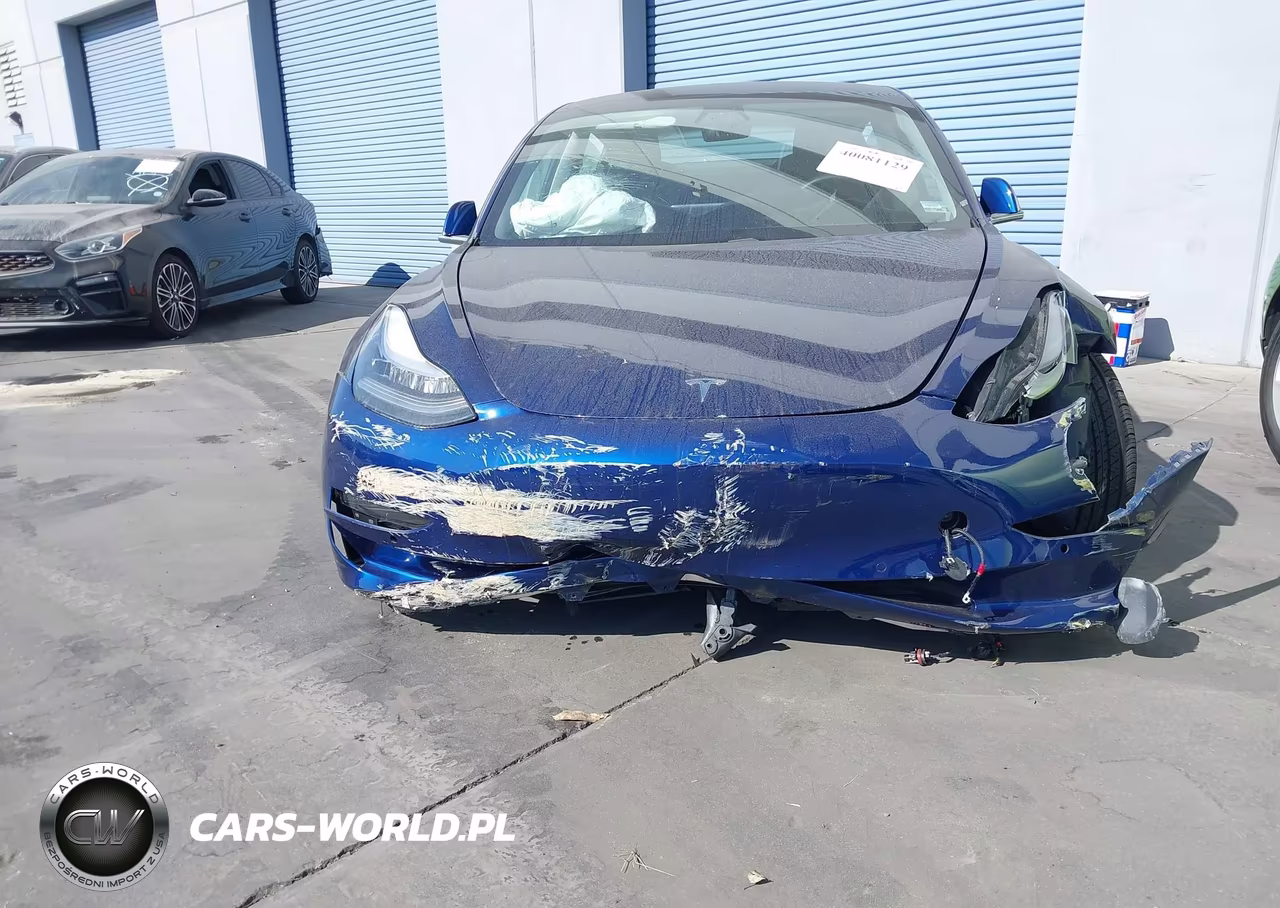 2020 Tesla Model 3 Standard Range Plus Rear-Wheel Drive-Standard Range Rear-Wheel Drive VIN:5YJ3E1EA5LF633945 - 13