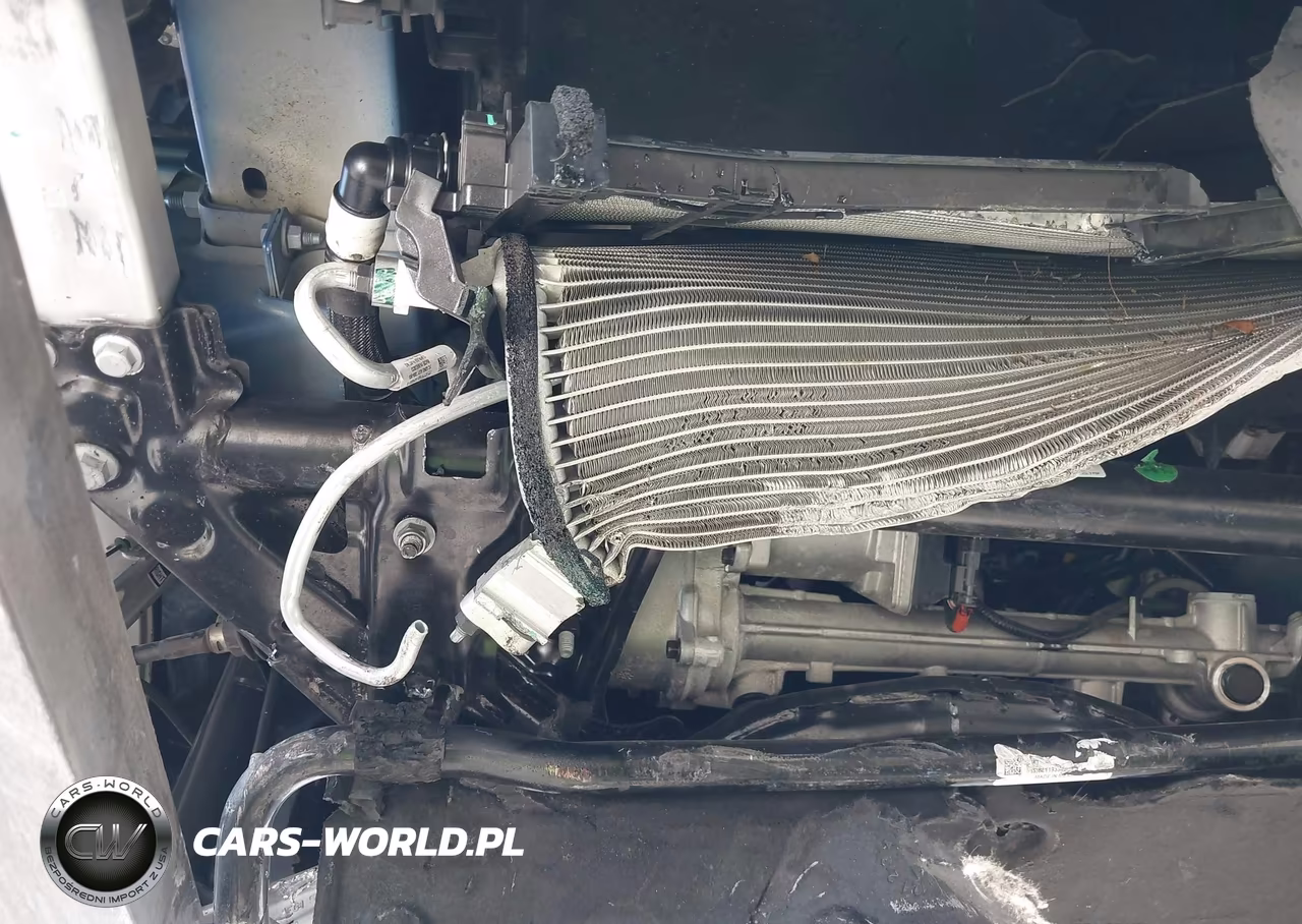 2020 Tesla Model 3 Standard Range Plus Rear-Wheel Drive-Standard Range Rear-Wheel Drive VIN:5YJ3E1EA5LF633945 - 22