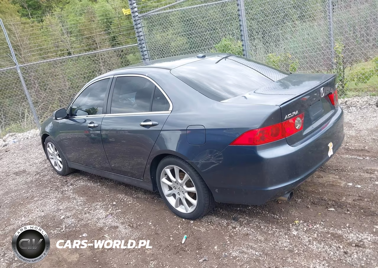 2006 Acura Tsx VIN:JH4CL96816C026392 - 3