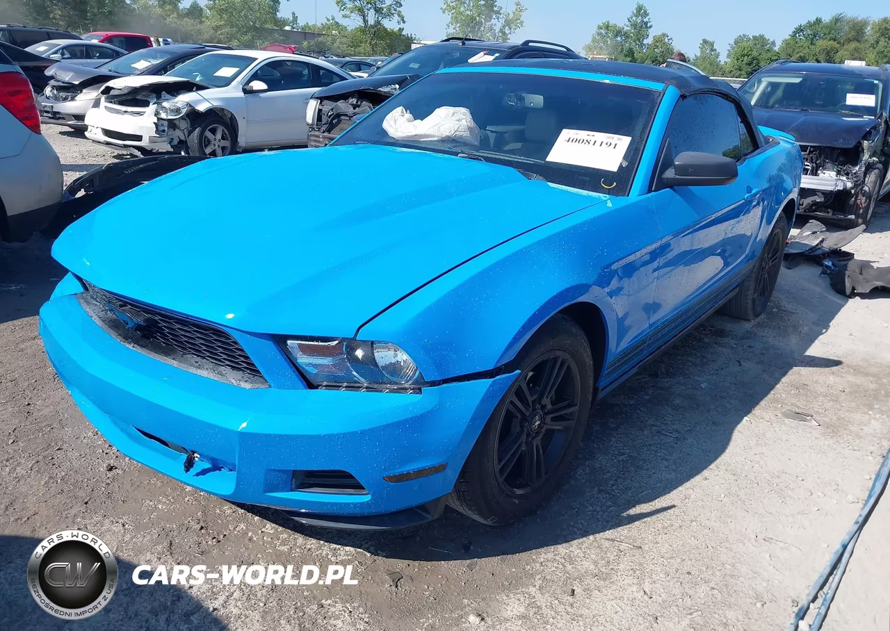 2010 Ford Mustang VIN:1ZVBP8EN3A5179420 - 2
