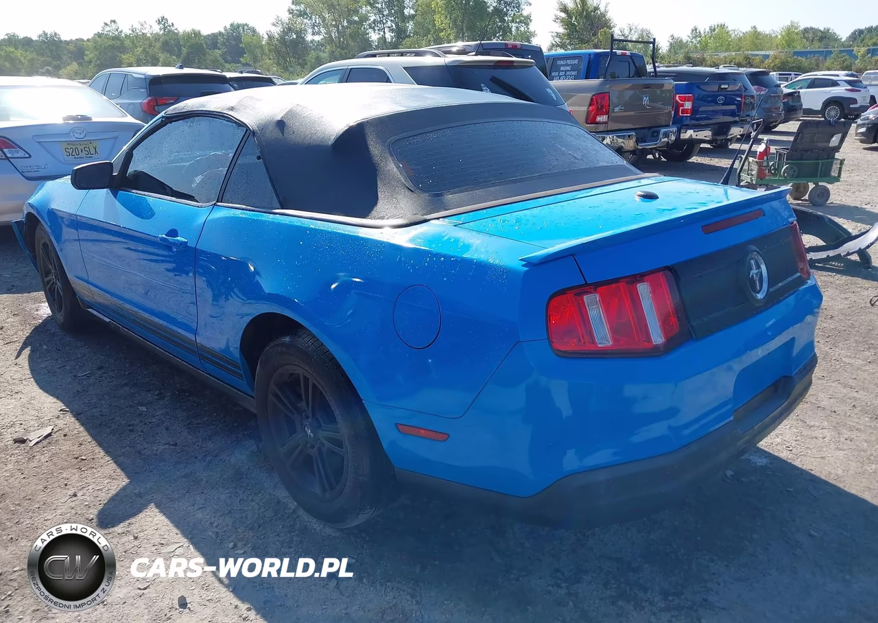 2010 Ford Mustang VIN:1ZVBP8EN3A5179420 - 3