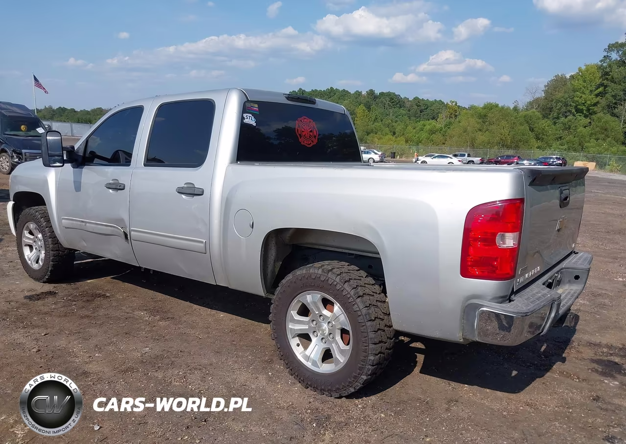 2010 Chevrolet Silverado C1500 Lt VIN:3GCRCSEA1AG160316 - 3