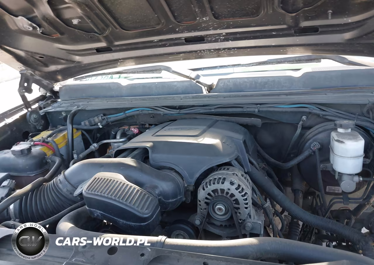 2010 Chevrolet Silverado 1500 Ls VIN:3GCRCREAXAG123063 - 10
