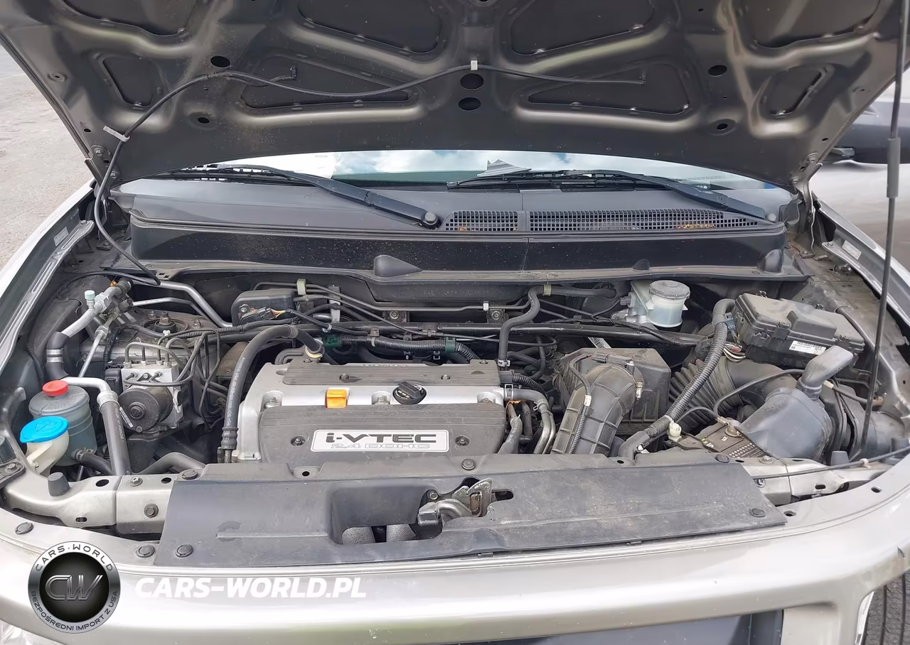 2007 Honda Element Sc VIN:5J6YH18987L002599 - 10