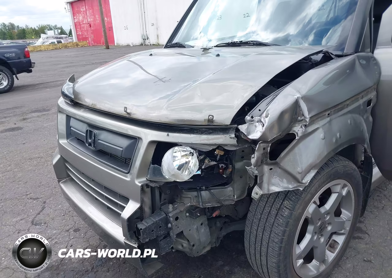 2007 Honda Element Sc VIN:5J6YH18987L002599 - 6
