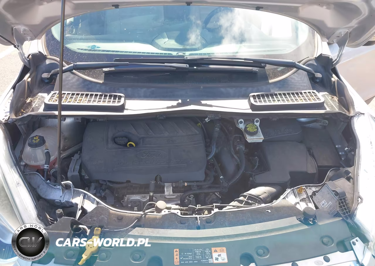 2017 Ford Escape Titanium VIN:1FMCU0JD8HUA32665 - 10
