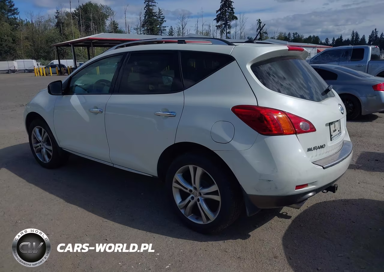 2010 Nissan Murano Le VIN:JN8AZ1MW1AW135523 - 3