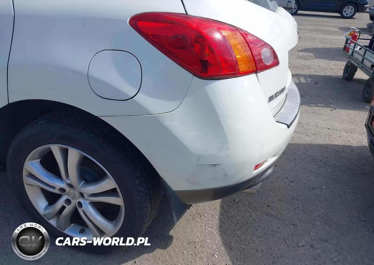 2010 Nissan Murano Le VIN:JN8AZ1MW1AW135523 - 6