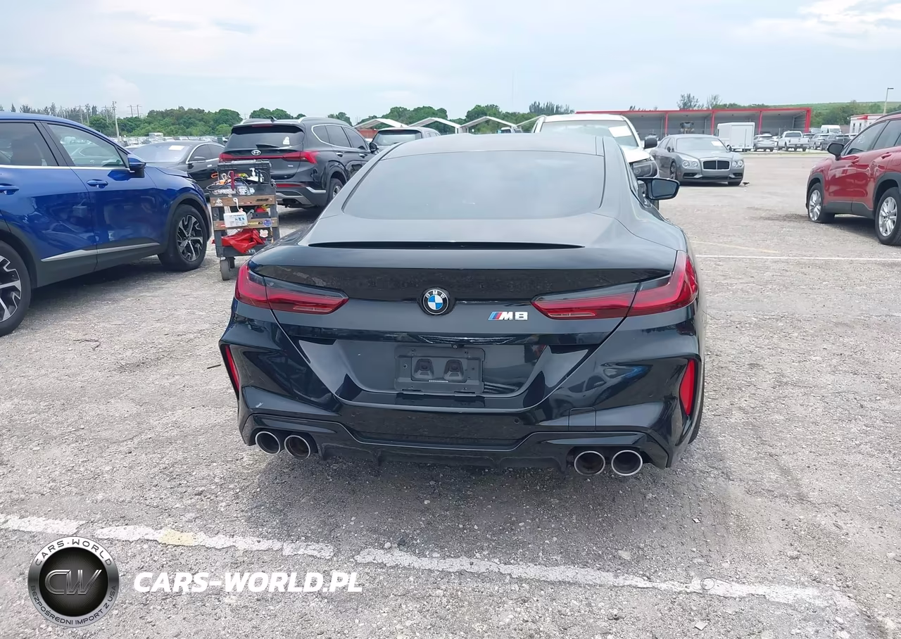 2020 BMW M8 VIN:WBSAE0C06LCD59045 - 17