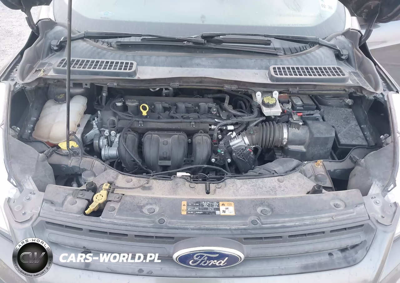 2015 Ford Escape S VIN:1G6AH5RX5H0201739 - 10