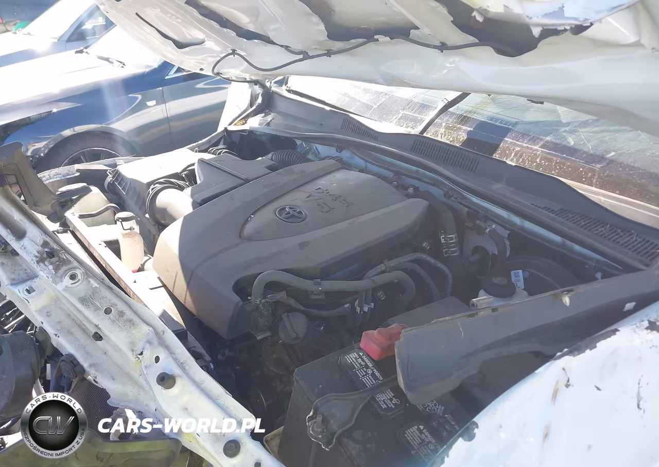 2019 Toyota Tacoma Double Cab-Sr5-Trd Sport-Trd Off Road VIN:3TMDZ5BN1KM076663 - 10