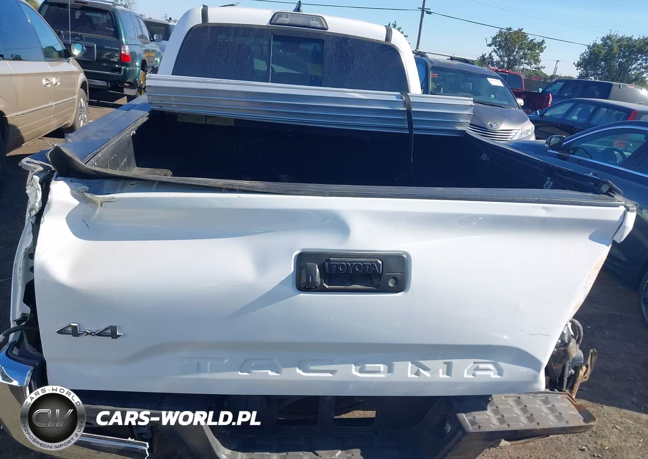 2019 Toyota Tacoma Double Cab-Sr5-Trd Sport-Trd Off Road VIN:3TMDZ5BN1KM076663 - 17