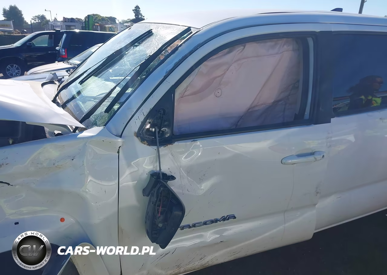 2019 Toyota Tacoma Double Cab-Sr5-Trd Sport-Trd Off Road VIN:3TMDZ5BN1KM076663 - 19