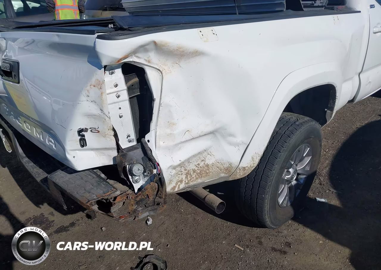 2019 Toyota Tacoma Double Cab-Sr5-Trd Sport-Trd Off Road VIN:3TMDZ5BN1KM076663 - 21