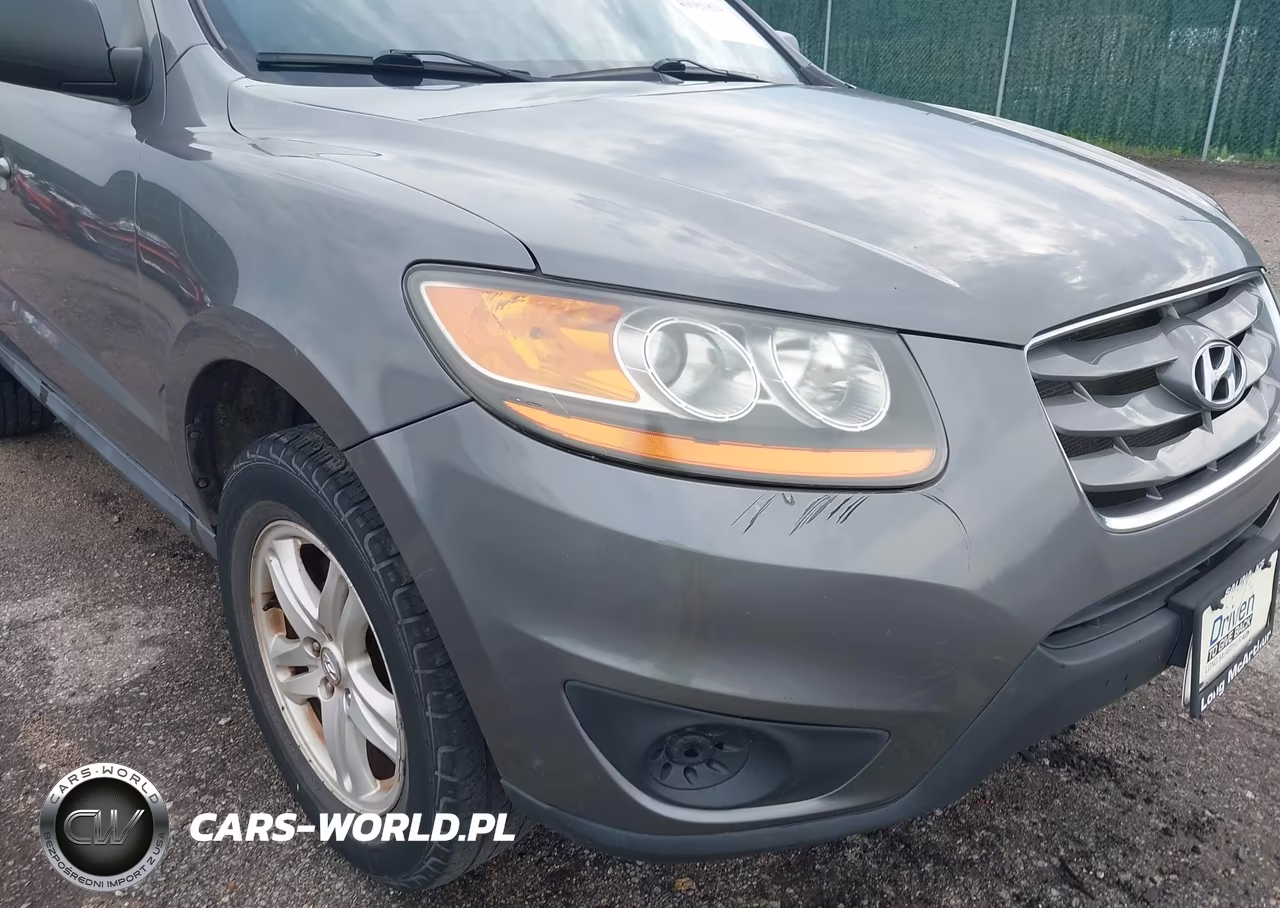 2010 Hyundai Santa Fe Gls VIN:5NMSGDAB5AH391921 - 6