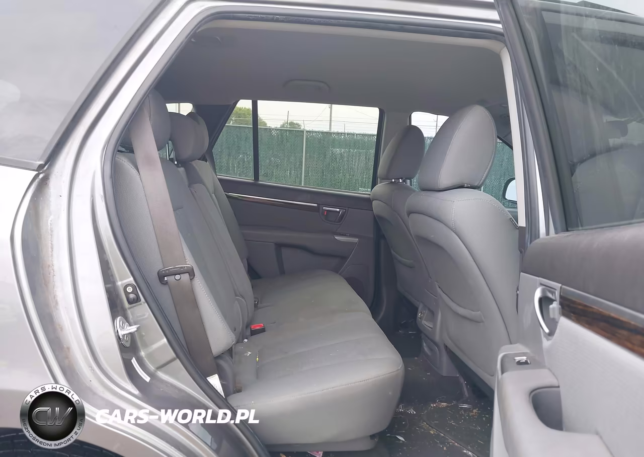 2010 Hyundai Santa Fe Gls VIN:5NMSGDAB5AH391921 - 8