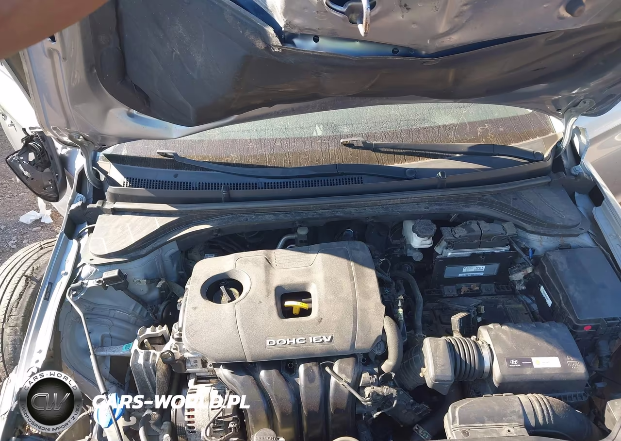 HYUNDAI ELANTRA VIN:5NPD84LF2HH090090 - 10