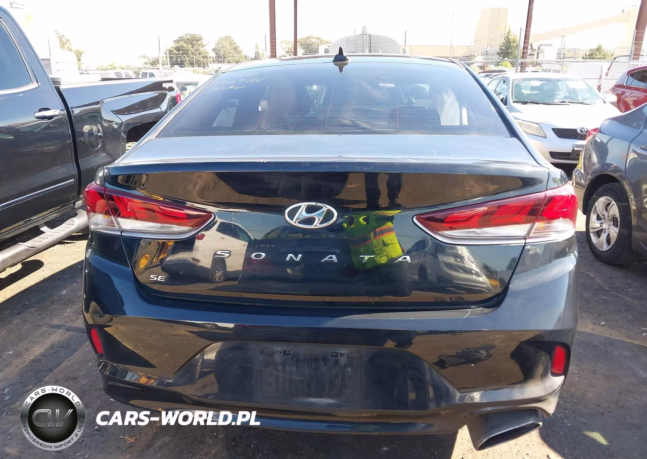 2019 Hyundai Sonata Se VIN:5NPE24AF6KH807011 - 17